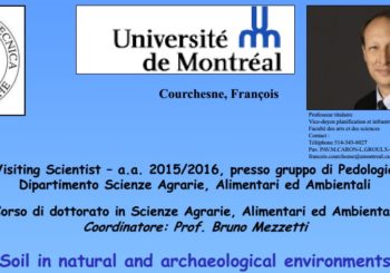 Soil in natural and archaeological environments