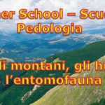 Immagine_SumSchoTerminillo