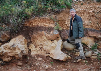 In ricordo del Prof. Andrea Buondonno